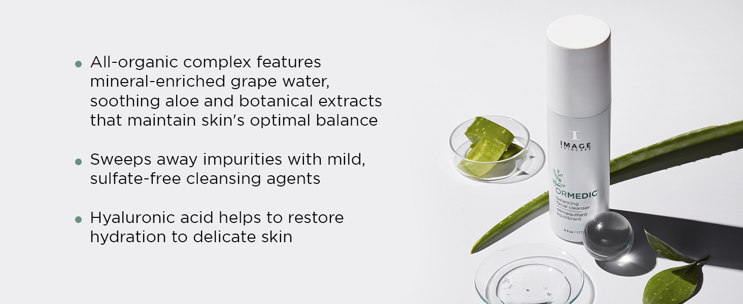 facial cleanser by IMAGE