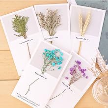dried flower for greeting card