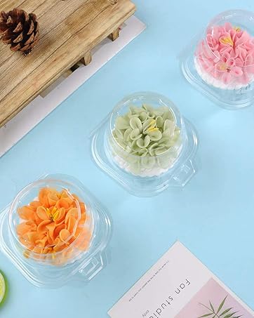 plastic cupcake box