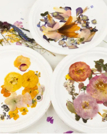 pressed flowers