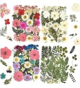 DALARAN Dried Flowers for Resin 100pcs Natural Pink Flowers and Leaves Compressed Vacuum Packed D...
