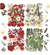 DALARAN 100pcs Red Natural Flowers and Leaves Compressed Dried Flowers for Resin Vacuum Packed DI...