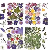 DALARAN 100Pcs Purple Dried Pressed Flowers for Resin Molds Real Pressed Flowers Dry Leaves Kit f...