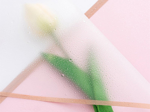 Wrapping Paper