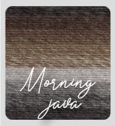 The link to the Morning Java multicolor Ferris Wheel Yarn listing.