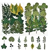 42 PCS Assorted Real Dried Pressed Leaves Natural Dry Leaves for Pressed Leaf Art Craft DIY ,14 S...
