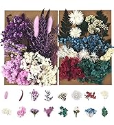 Dried Pressed Flowers for Soap Candle Making and Resin Jewelry Making Pressed Flower (Purple Blue...