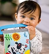 Baby Einstein Curious Explorers Teether Book Take-Along Toy, Ages Newborn +