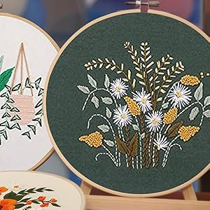Embroidery Kit cross stitch kit  for beginner adults starter kit diy funny easy bamboo patterns