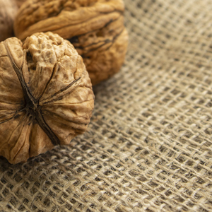 Natural Burlap Fabric