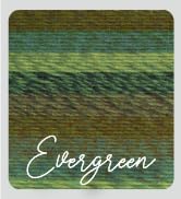 The link to the Evergreen multicolor Ferris Wheel Yarn listing.