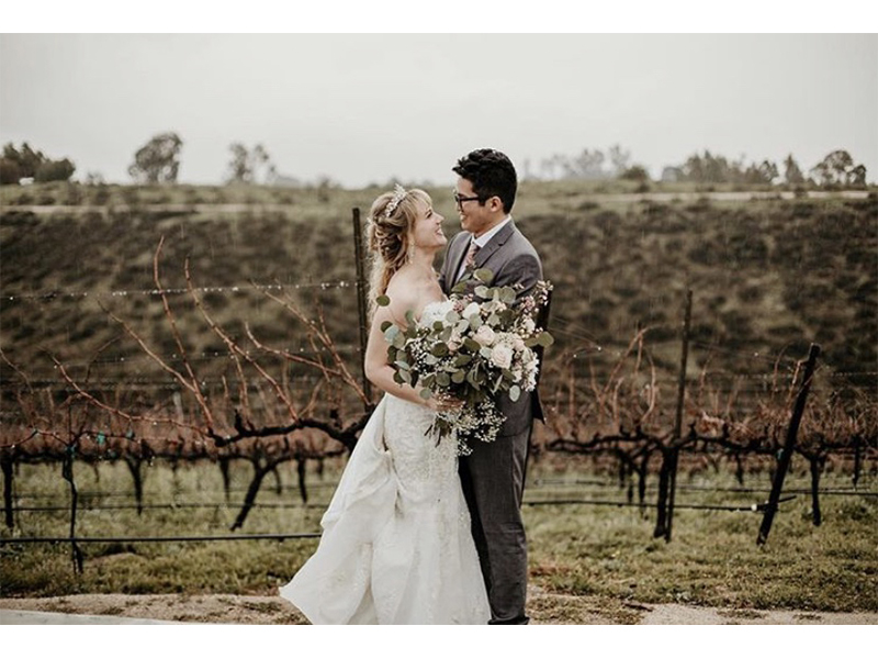 vineyard wedding photo
