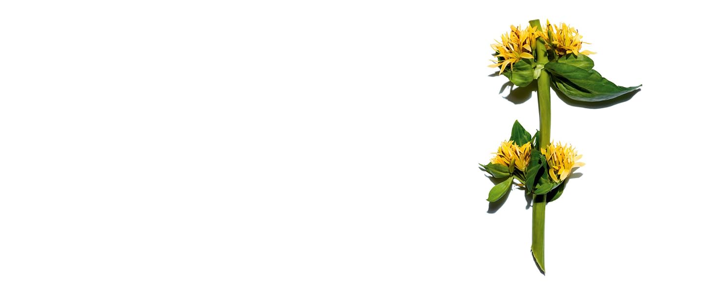 Golden Gentian