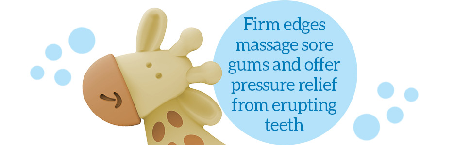 Firm edges massage sore gums and offer pressure relief from erupting teeth
