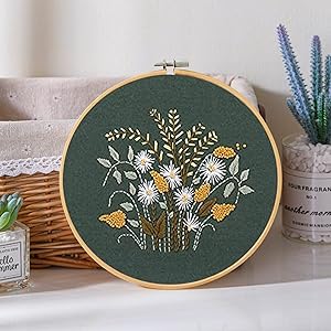Embroidery Kit cross stitch kit  for beginner adults starter kit diy funny easy bamboo patterns