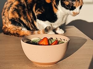 acai bowl breakfast chai dessert bowl
