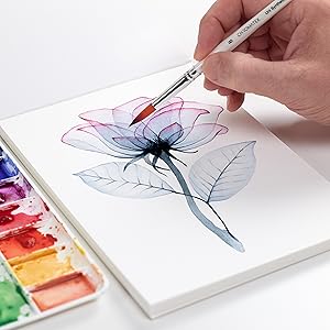 Best Watercolor Paint Set with Tutorials From Chromatek