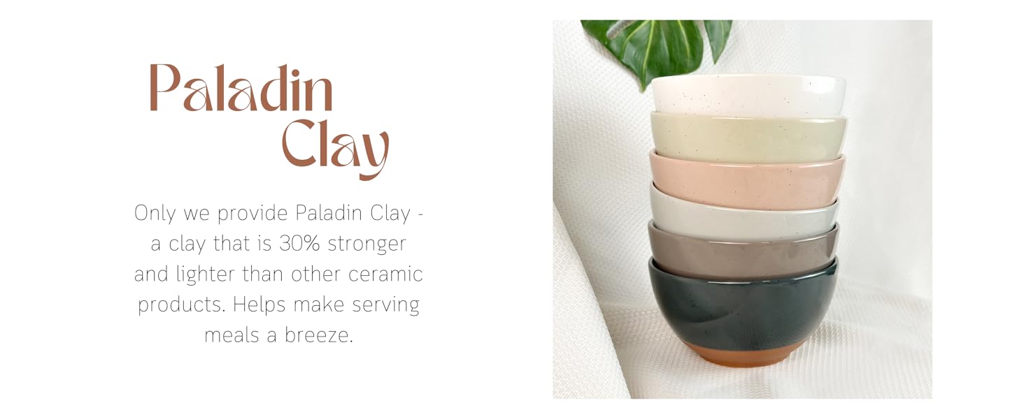 paladin clay assorted neutrals dessert bowls