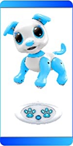 robot dog