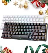 T63