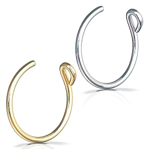 pair of fake nose rings Silver and gold