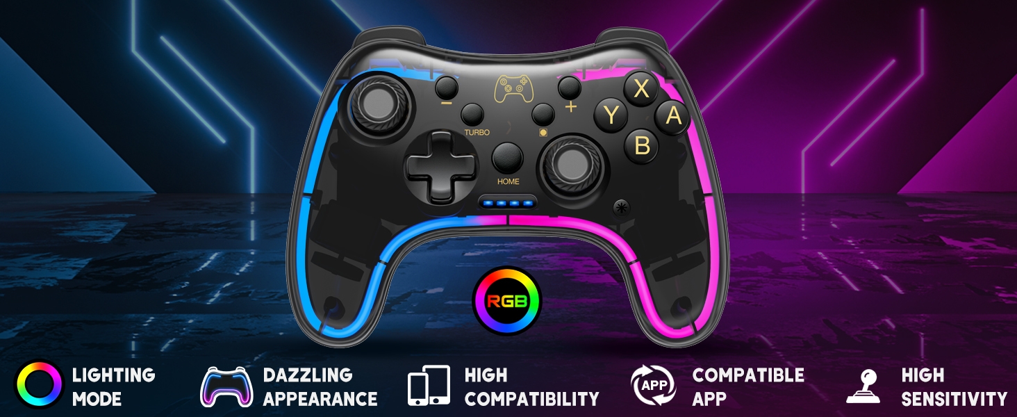 Nintendo Switch controller