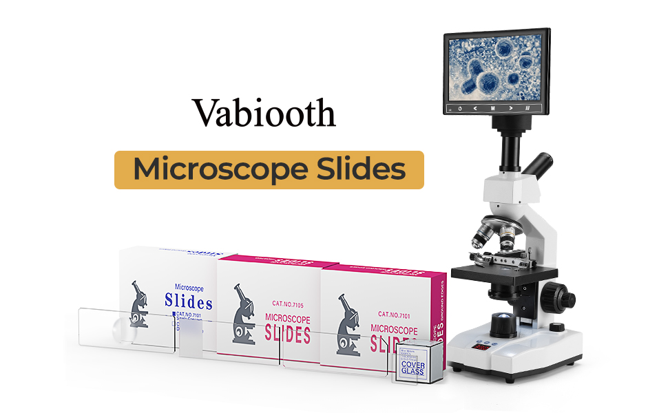 microscope glass slide