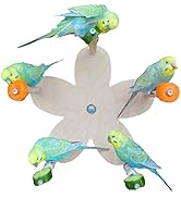 Ferris Wheel Toy for Birds with 5 Food Holder Perches