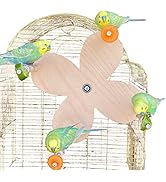 Flower Ferris Wheel Toy for Birds with Feeder Perches