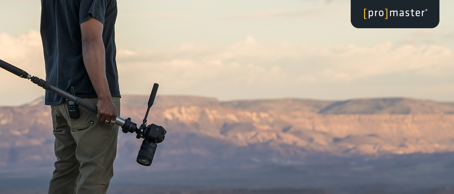 ProMaster Chronicle Monopod in desert