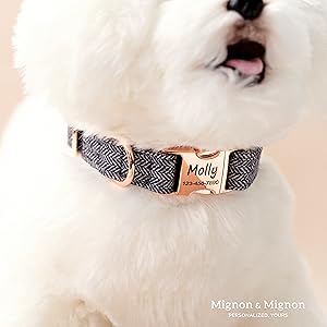 Rose Gold collar