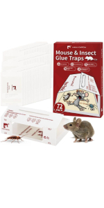 Bulk Non-Toxic Indoor Mouse Glue Boards