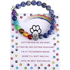Unijew Pet Memorial Gifts,Rainbow Bridge Bracelet for Beloved Dog Cat,8MM Mixed Color Bead 7 Chakra Pet Memorial Bracelet for
