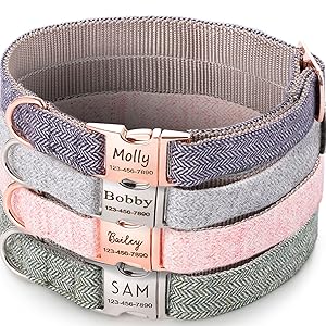 collars