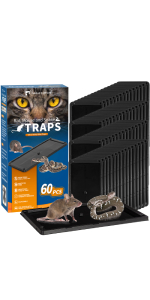 Sticky Mouse Traps