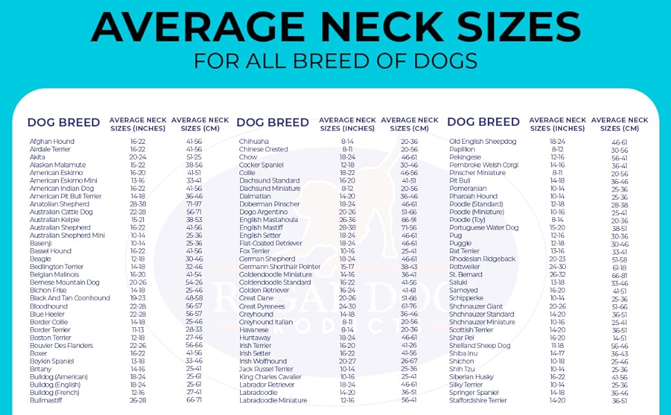 average neck sizes in both centimeters and inches