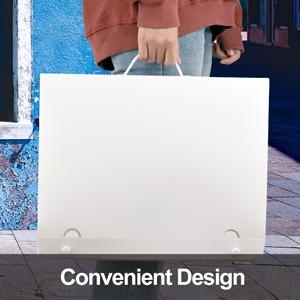 carrying bag
