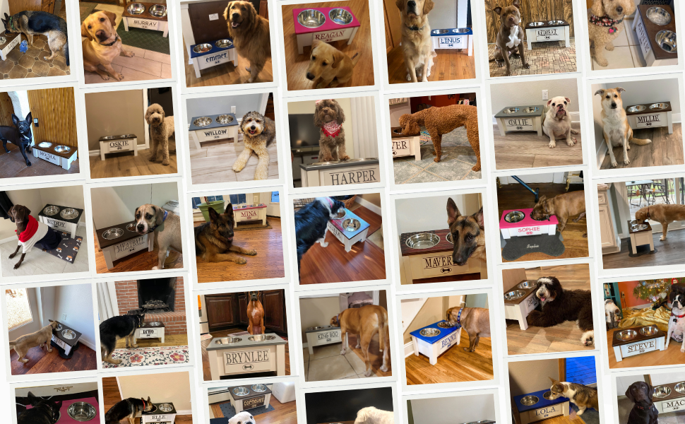 GrooveThis Woodshop Elevated Dog Bowls