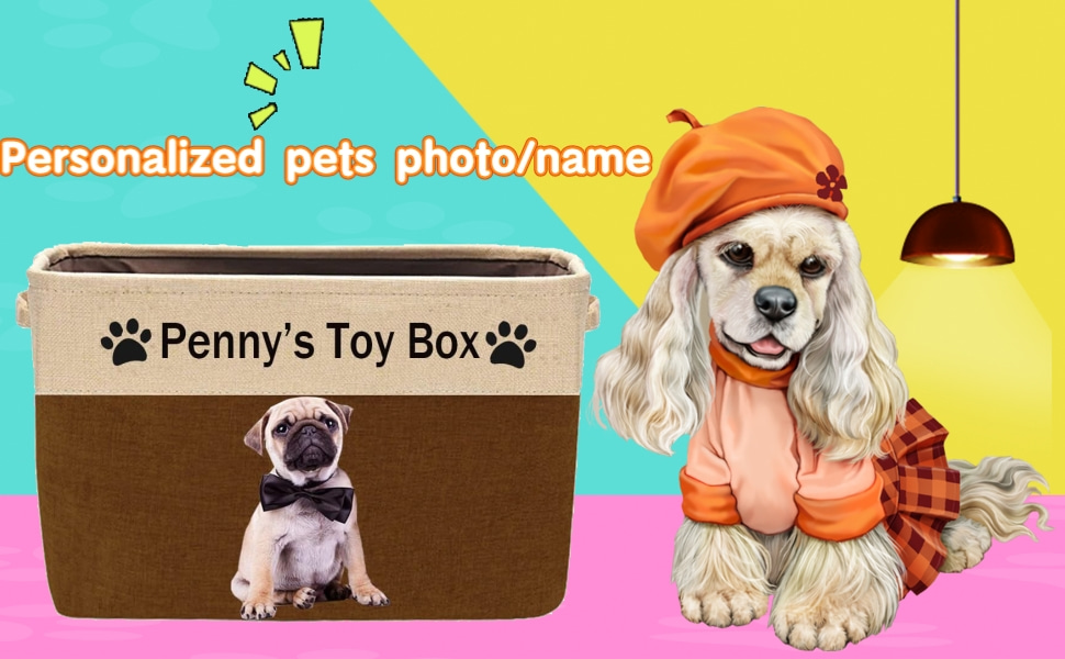 Personalized Dog Toy Box Storage