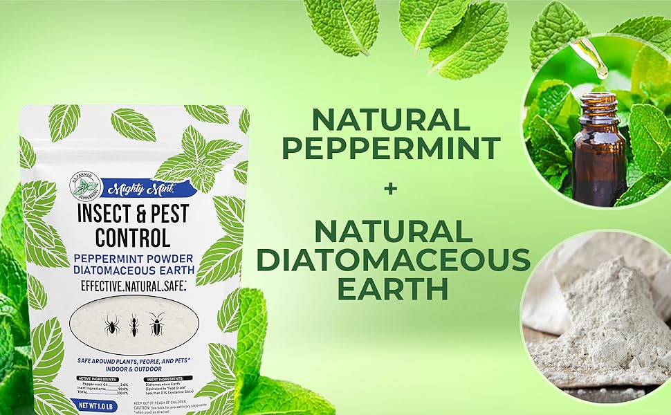 Insect DE Ingredients