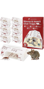 Sticky Mouse Traps