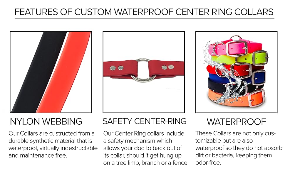 Dog Collar