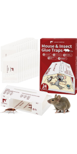 Pre-baited Glue Traps