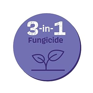 circle icon with plant illustration with headline four in one fungicide