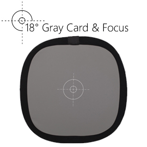 Gray Focus 300