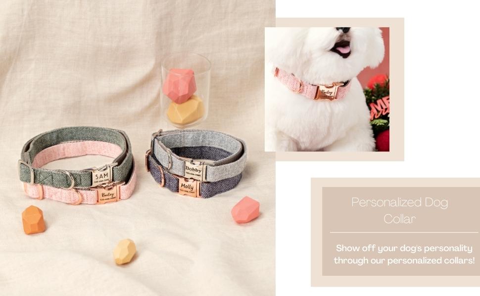 dog collar